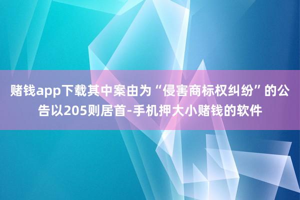 赌钱app下载其中案由为“侵害商标权纠纷”的公告以205则居首-手机押大小赌钱的软件