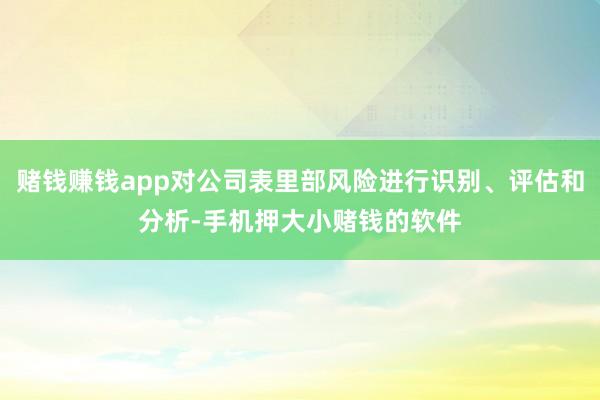 赌钱赚钱app对公司表里部风险进行识别、评估和分析-手机押大小赌钱的软件