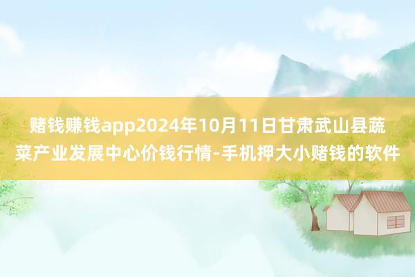 赌钱赚钱app2024年10月11日甘肃武山县蔬菜产业发展中心价钱行情-手机押大小赌钱的软件