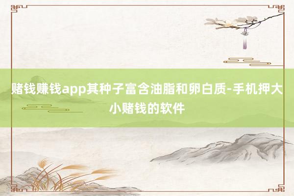 赌钱赚钱app其种子富含油脂和卵白质-手机押大小赌钱的软件